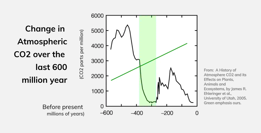 The Carboniferous age, its trees and forests, embody in dramatic fashion the fourth phenomenon that has characterized the Earth’s greening of the biosphere.